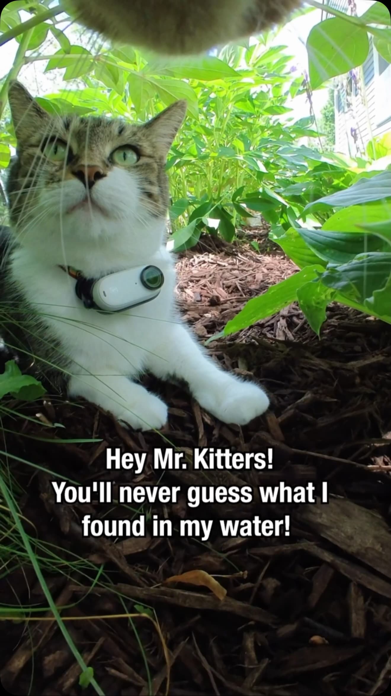 #funny