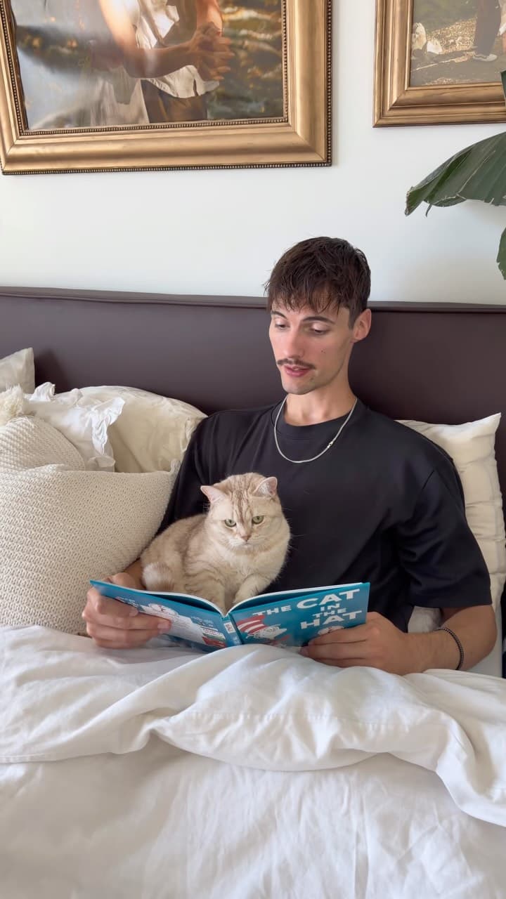 #catvideos