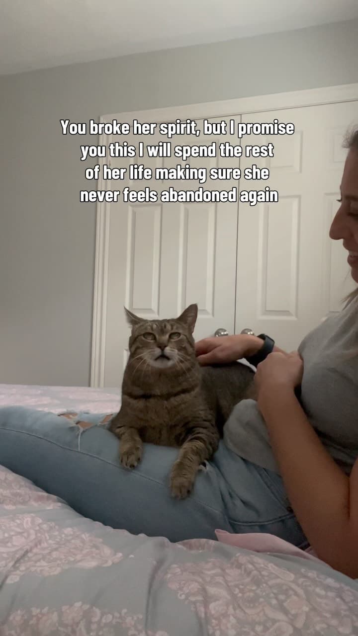 She’s just a baby 🥺
#catsofinstagram #fyp #love #gato #rescue