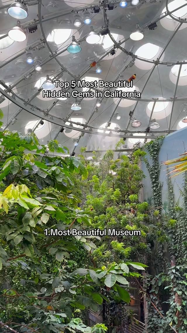 #explorepage