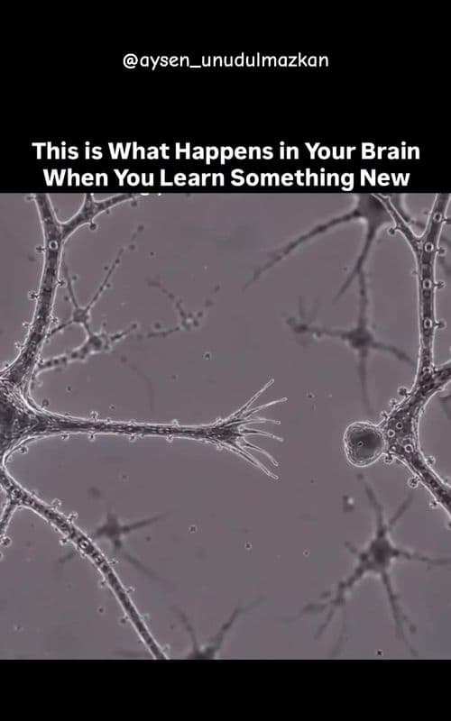 Keep Learning. Keep Growing 🤓 #life #Love #learnontiktok #knowledge #cool
