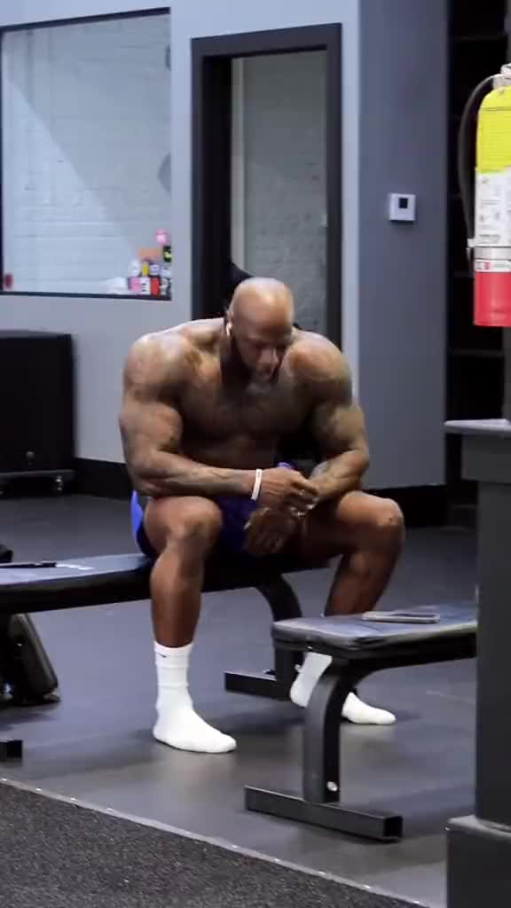 No Pain, No Gain (Sandro Rodrigues Braga)