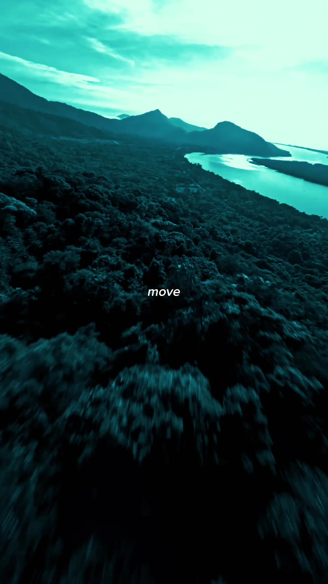 Move (Adam Port & Stryv & Keinemusik & Orso & Malachiii)