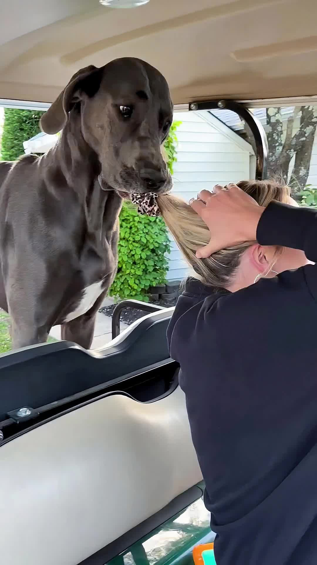 #animals
