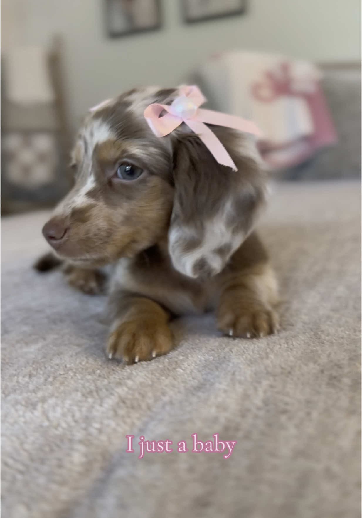 Im just a baby (AGuyandAGolden)