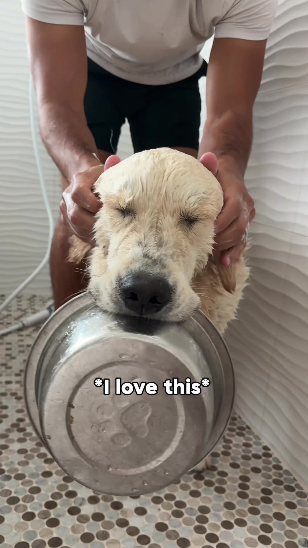 #puppy