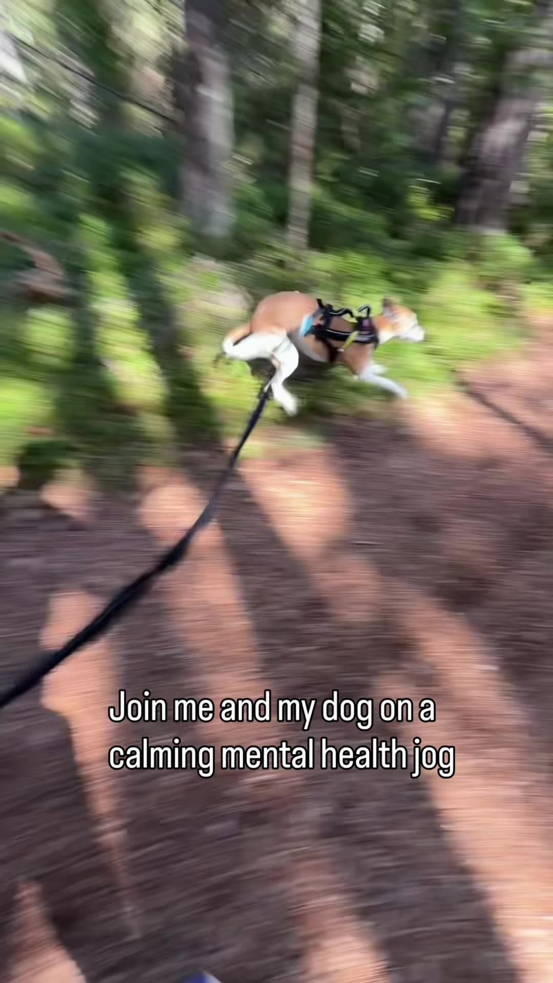 Before anyone says anything: yes, he gets to run off leash every day ๐
Heโs just extra excited when we run together. #w