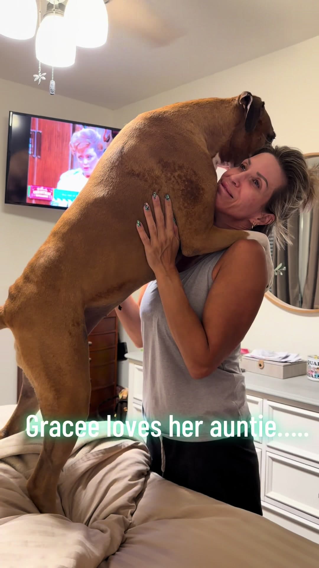 #boxersoftiktok #dogsoftiktok #viralvideo #doghump🤭🤭 #doghuggonewrong