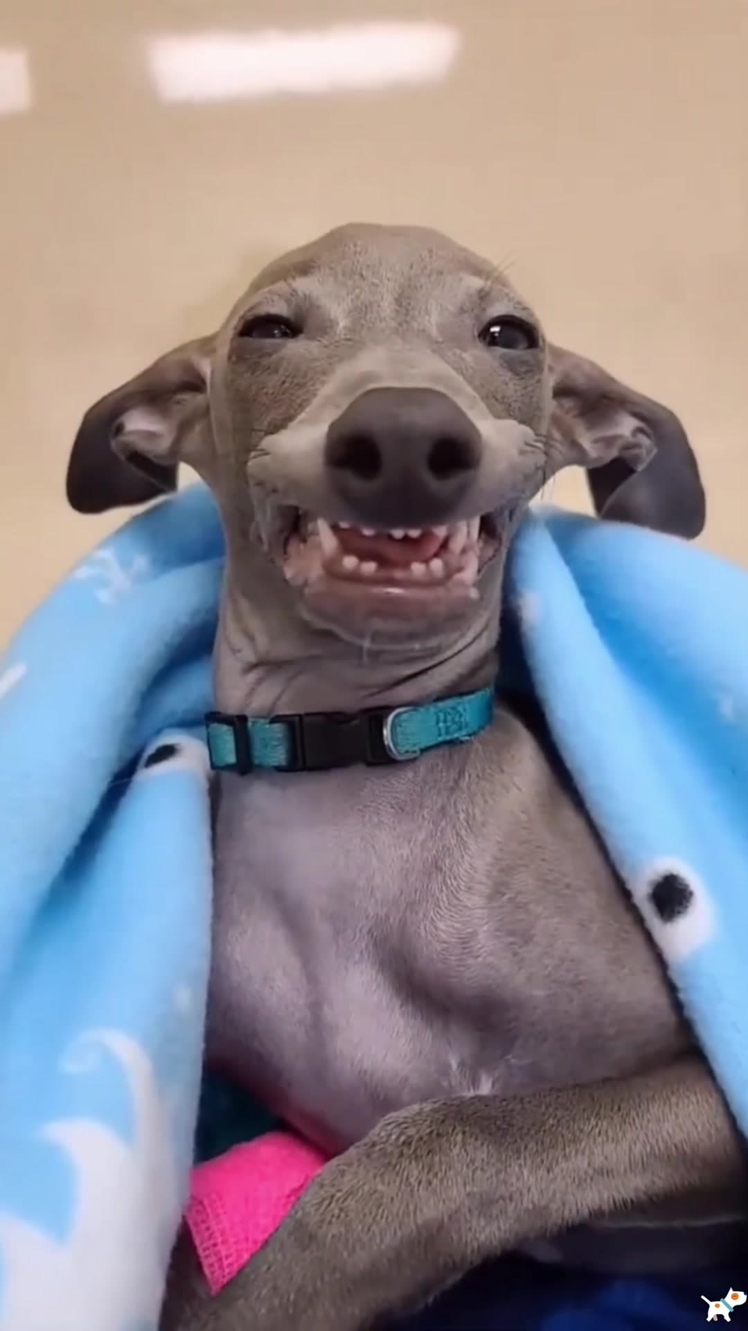 #funny