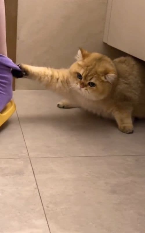 #cute