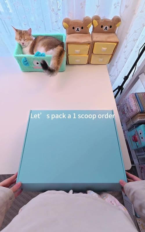 Hi Dinoshka, this is your order packing video, hope you like it!💕💕#luckyscoop #mysteryscoop #asmr #packingorders #mys