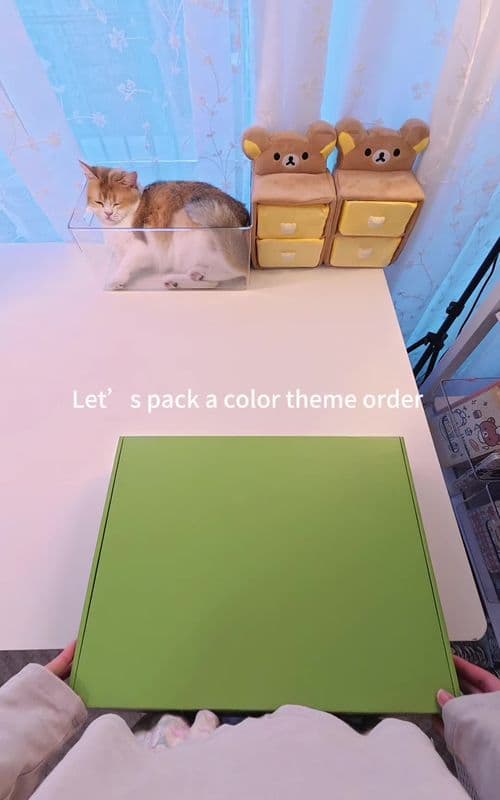Hi Vicky, this is your order packing video, hope you like it!💕💕#luckyscoop #mysteryscoop #asmr #packingorders #mystery