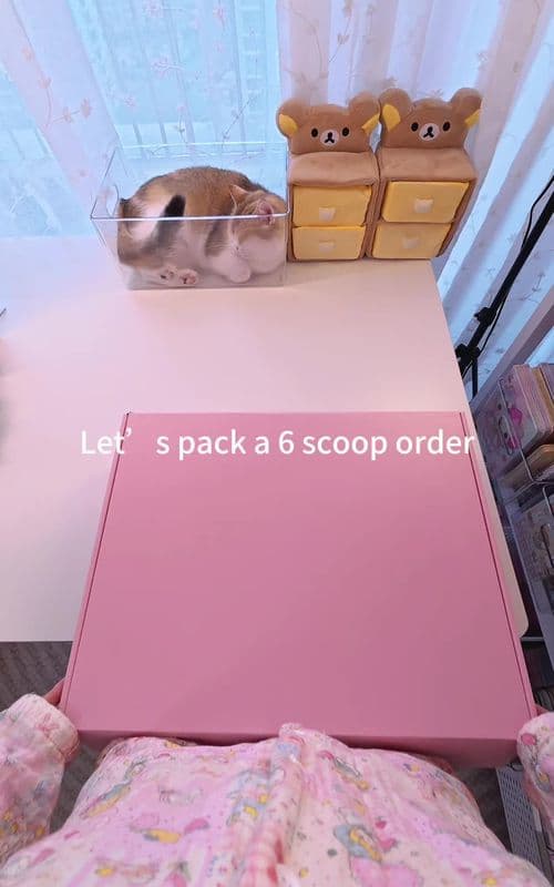 Hi Daniel, this is your order packing video, hope you like it!💕💕#luckyscoop #mysteryscoop #asmr #packingorders #myster
