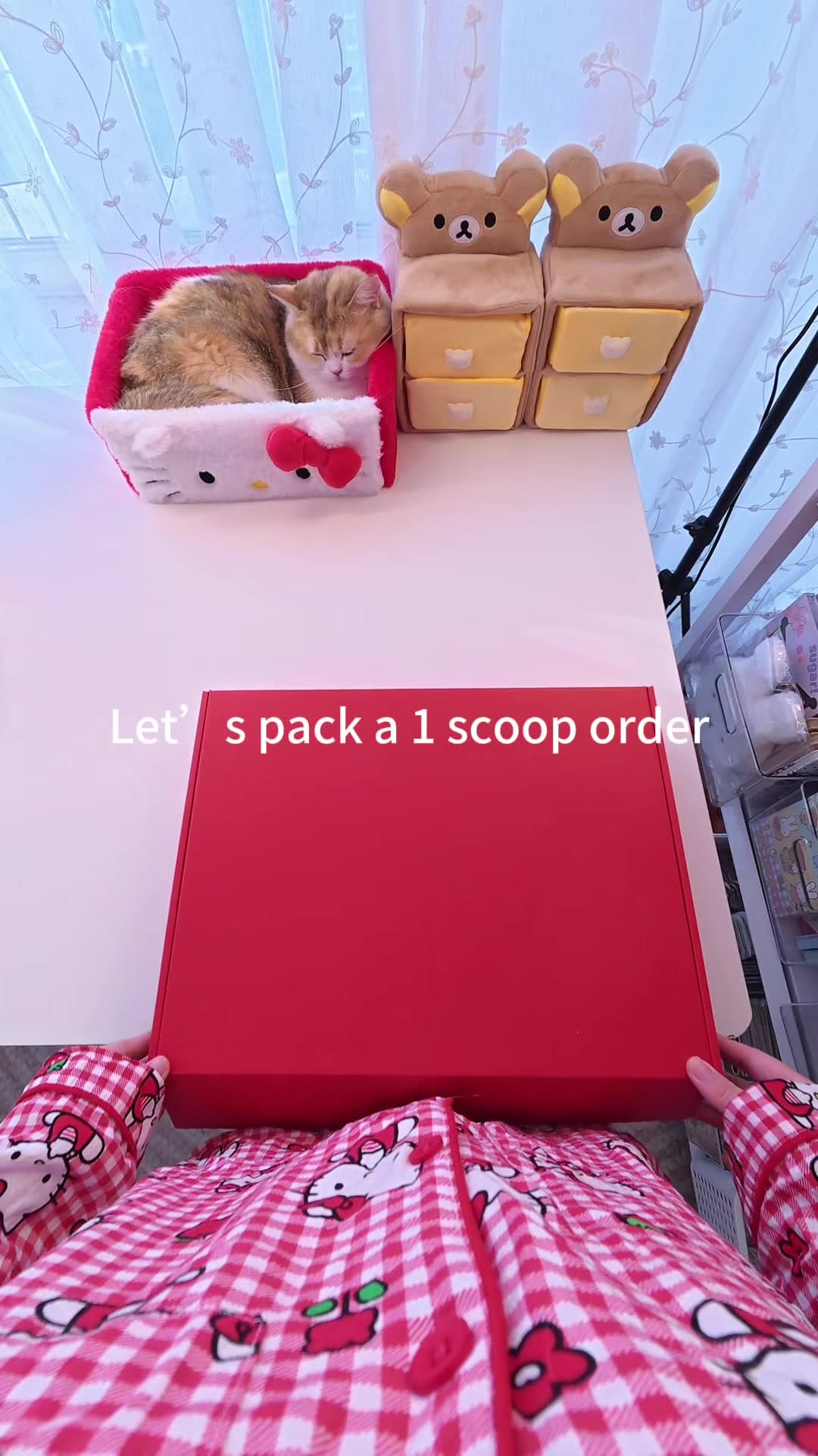 Hi Zara, this is your order packing video, hope you like it!💕💕#luckyscoop #mysteryscoop #asmr #packingorders #mysteryb