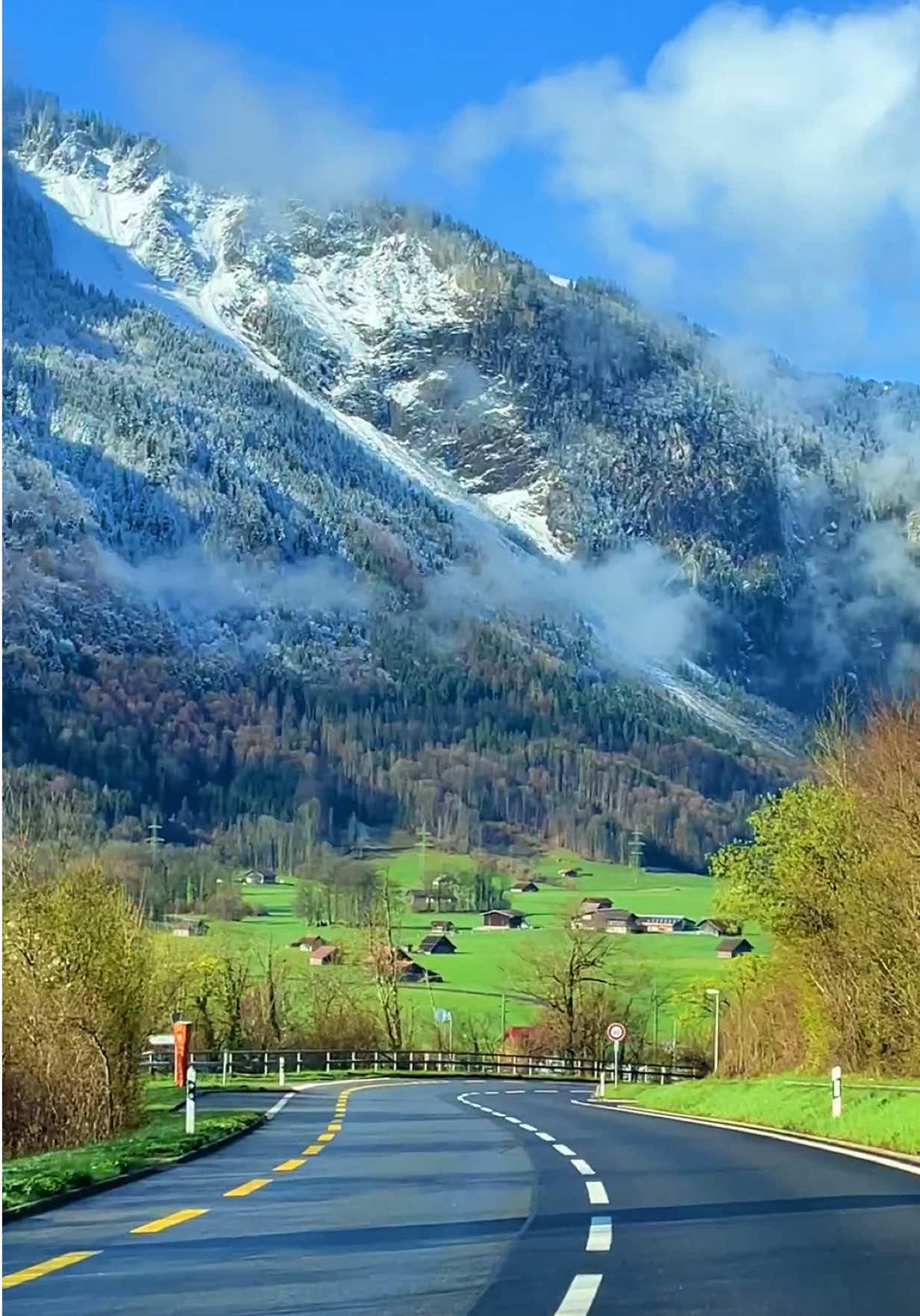 #swiss