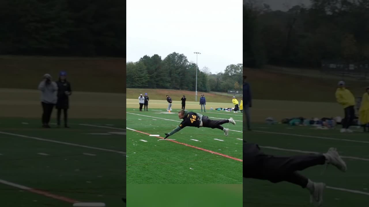 #highlights