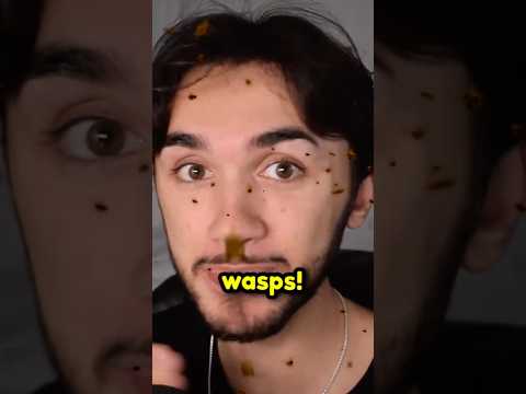 #comedy